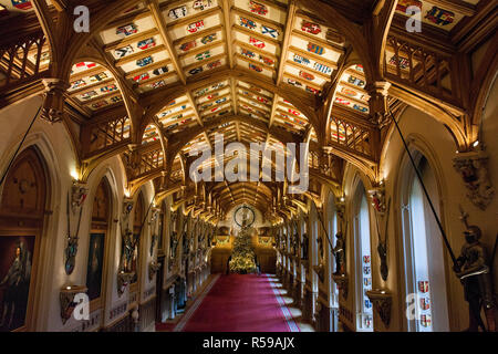 Windsor, Regno Unito. 30 Novembre, 2018. Gli Appartamenti di Stato al Castello di Windsor sono state decorate con scintillanti alberi di Natale e scintillanti luci di Natale. Visto qui in St George's Hall un sorprendente 20ft Nordmann abete dal Windsor Great Park vestito d'oro. Un 15ft albero di Natale viene visualizzato anche nell'Crimson Drawing Room. Credito: Mark Kerrison/Alamy Live News Foto Stock