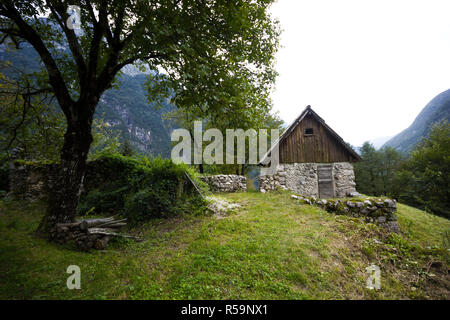 Vecchia baita di montagna con un vecchio albero di fronte al centro remoto di mountain valley, alpi della Slovenia Foto Stock