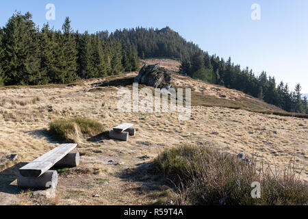 Vista della parte superiore del die kleiner Osser nella foresta bavarese in Germania. Foto Stock