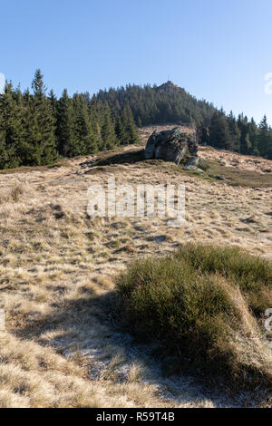 Vista della parte superiore del die kleiner Osser nella foresta bavarese in Germania. Foto Stock