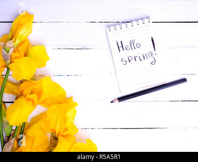 Notebook con la scritta ciao a molla Foto Stock