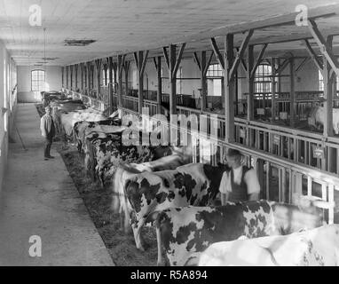 Finlandia - Storia - I. K. Inha: stalla, agricoltura finlandese, 1899. Foto Stock