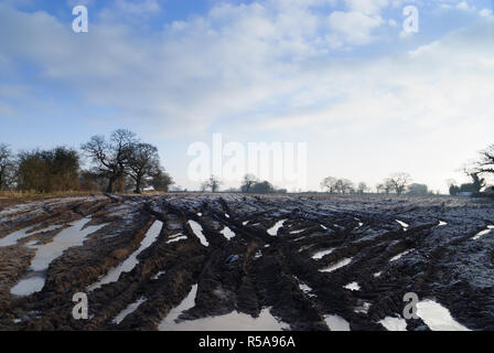 A fortemente sterrato e acqua fangosa connesso campo coperto di brina e congelate di piscine di acqua nel nord Shropshire Inghilterra Foto Stock