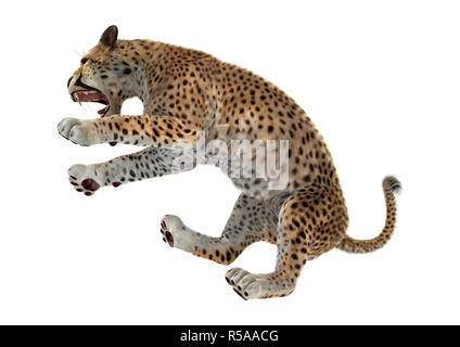 3D Rendering Cheetah su bianco Foto Stock