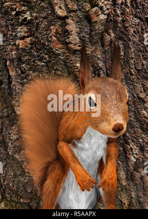 Il rendering 3D Unione scoiattolo rosso Foto Stock