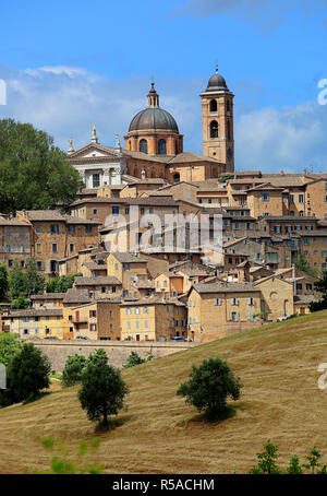 La cattedrale e la città vecchia di Urbino, Marche, Italia Foto Stock