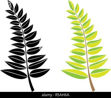 Vector nero e verde silhouette di un ramo con foglie. elemento di design. Mano disegnare piante e rami di alberi con foglie. sagome floreali. Illustrazione Vettoriale
