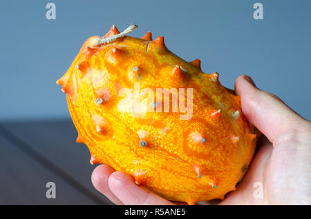 Frutta (Kivano Kiwano) melone in mano su sfondo di legno. Close up. Foto Stock