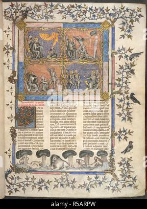 La saggezza di Salomone. La Bibbia Historiale. Francia; 1357. (Intero folio) in alto a sinistra, Salomone, con betulla, incarica Roboamo; in basso a sinistra, Salomone si assesta la rivendicazione dei due supposti madri; in basso a destra; tre supposti eredi appello a Salomone; in alto a destra, gli eredi sono invitati a sparare a loro padre il cadavere del. Immagine presa dalla Bibbia Historiale. Originariamente pubblicato/prodotti in Francia; 1357. . Fonte: Royal 17 E. VII volume 2, f.1. Lingua: Francese. Foto Stock