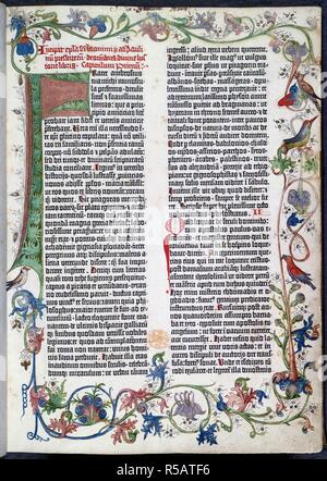 Pagina da la Bibbia di Gutenberg, con illuminazione a Erfurt, con una voce aggiunta a mano in inchiostro rosso. Una lettera 'F' è stato fornito in verde e marrone rossiccio evidenziata con penna d'oro-lavoro all'interno del corpo della lettera, che si estende ulteriormente verso il basso il margine interno e la fusione con una frontiera pieno di fiori e fogliame di scorrimento con gli uccelli si appollaia su foglie. La Bibbia di Gutenberg. Mainz, 1455. Fonte: C.9.d.3, 1. Foto Stock