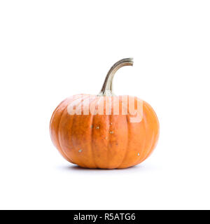 La zucca su sfondo bianco isolato. Fotografia di cibo Foto Stock