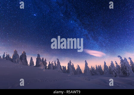 Fantastico paesaggio invernale incandescente da star light. Drammatica scena invernale con alberi innevati e la via lattea nel cielo notturno. Carpazi, l'Europa. Foto Stock