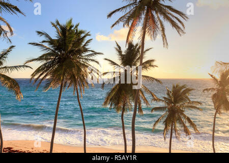 Caraibi, Barbados, Fondo Bay Beach Foto Stock