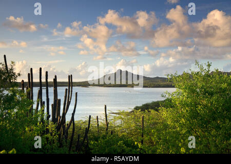 Caraibi, alle Antille Olandesi Bonaire, Washington Slagbaai National Park, i fenicotteri nel lago Gotomeer Foto Stock