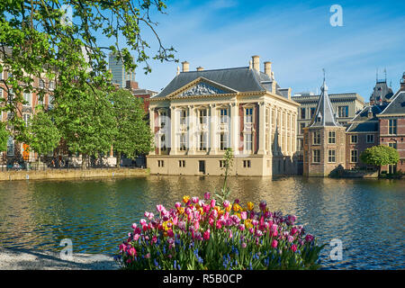 Il Mauritshuis a Binnenhof a L'Aia, Olanda meridionale, Paesi Bassi, Benelux Foto Stock