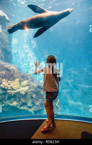 6 anno-vecchia ragazza guardando i pesci in un acquario. Foto Stock