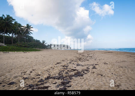 Cabarete, Domincan Republic - 03 Febbraio 2015: una scena dalla famosa Playa Encuentro surf beach in Cabarete Repubblica Dominicana. Foto Stock