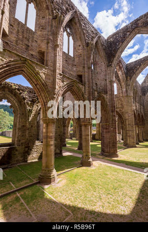 Tintern Abbey, Monmouthshire, Galles Foto Stock