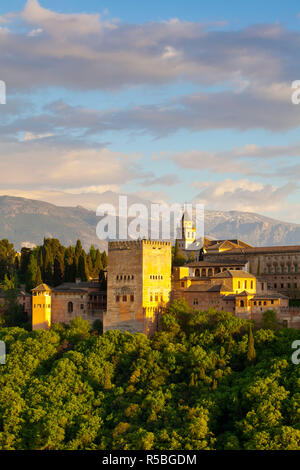 L' Alhambra Palace, Granada, provincia di Granada, Andalusia, Spagna Foto Stock