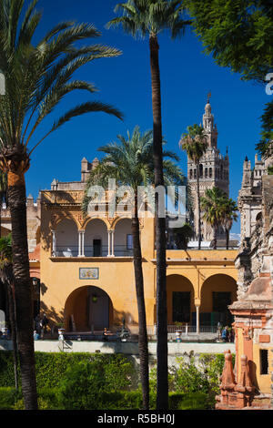 Spagna, Andalusia Regione, Provincia di Siviglia, Siviglia, l'Alcazar, Giardini dell'Alcazar Foto Stock