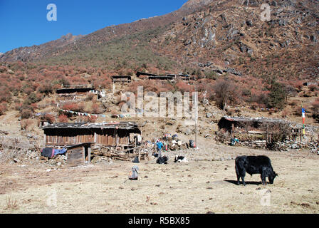 Il villaggio Sherpa di Thudam vicino al Lumba Sumba La pass nel Nepal orientale Foto Stock