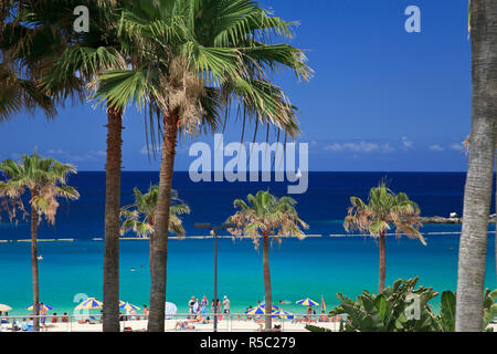 Isole Canarie, Gran Canaria, a Puerto Rico e Playa de Los Amadores Foto Stock