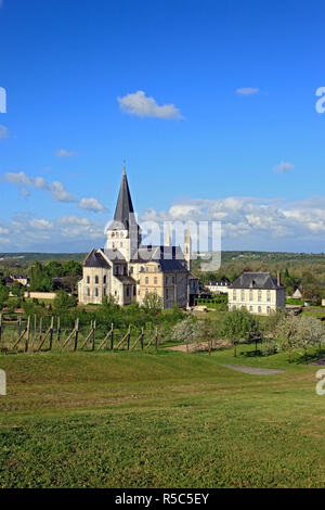 Chiesa abbaziale di San Georges, Saint-Martin-de-Boscherville, dipartimento Seine-Maritime, Alta Normandia, Francia Foto Stock