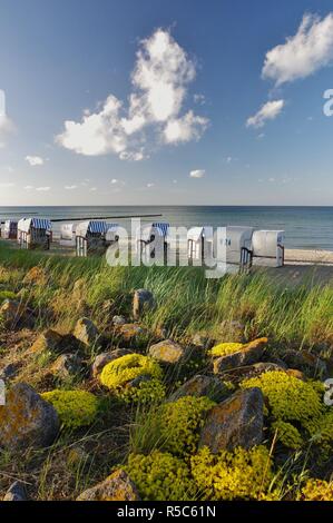 Sedie a sdraio sulla spiaggia di boltenhagen,district redewisch,mar baltico,nordwestmecklenburg,Germania settentrionale Foto Stock