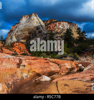 Formazioni Rck Zion National Park nello Utah Stati Uniti d'America Foto Stock