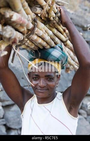 Capo Verde, Santo Antao, Ribeira do Paul (Paolo valle), lavoratori della canna da zucchero Foto Stock