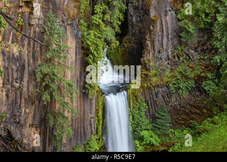 Toketee Falls, North Umpqua River, Oregon, Stati Uniti d'America Foto Stock