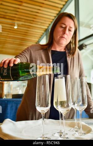 Donna versando champagne vino spumante da una bottiglia in bicchieri e servita in un bar ristorante ricevimento in Healdsburg, California, Stati Uniti d'America. Foto Stock