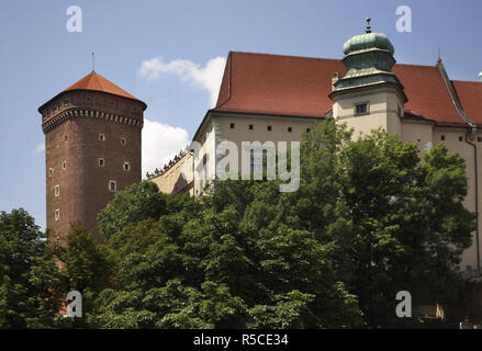Wawel a Cracovia. Polonia Foto Stock
