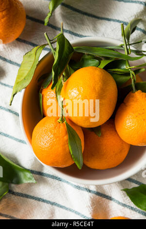 Materie organiche Arance Mandarini con foglie di colore verde Foto Stock