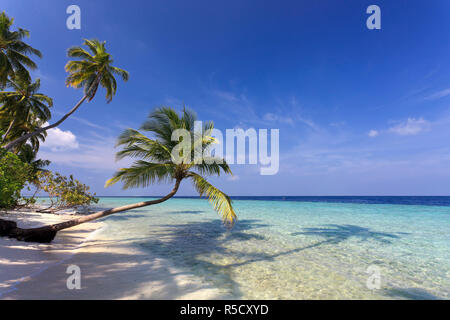 Maldive Faafu Atoll, Filitheyo Island Foto Stock