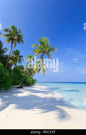 Maldive Faafu Atoll, Filitheyo Island Foto Stock