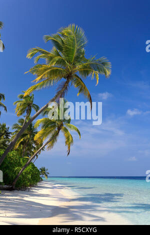 Maldive Faafu Atoll, Filitheyo Island Foto Stock