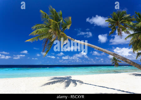 Maldive Faafu Atoll, Filitheyo Island Foto Stock