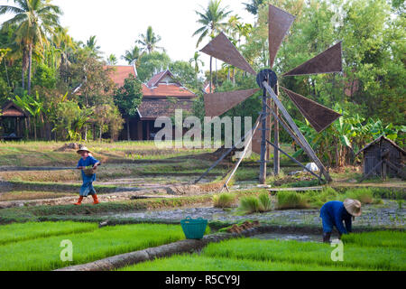 Mulino a vento tradizionale e risaie nr Chiang Mai, Thailandia Foto Stock