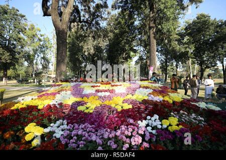 (181201) -- ISLAMABAD, 1 dicembre, 2018 (Xinhua) -- la gente visita il crisantemo e autunno fiori mostrano a Islamabad, la capitale del Pakistan, su nov. 30, 2018. La 39th crisantemo e autunno Flower Show ha dato dei calci a fuori il venerdì a Islamabad. (Xinhua/Ahmad Kamal)(yy) Foto Stock