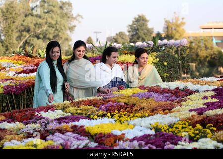 (181201) -- ISLAMABAD, 1 dicembre, 2018 (Xinhua) -- la gente visita il crisantemo e autunno fiori mostrano a Islamabad, la capitale del Pakistan, su nov. 30, 2018. La 39th crisantemo e autunno Flower Show ha dato dei calci a fuori il venerdì a Islamabad. (Xinhua/Ahmad Kamal)(yy) Foto Stock