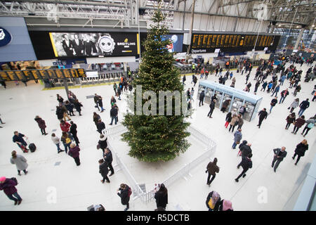 Londra REGNO UNITO. Il 1 dicembre 2018. Un gigantesco albero di Natale felce è installato a Waterloo terminal Credit: amer ghazzal/Alamy Live News Foto Stock