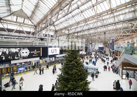 Londra REGNO UNITO. Il 1 dicembre 2018. Un gigantesco albero di Natale felce è installato a Waterloo terminal Credit: amer ghazzal/Alamy Live News Foto Stock
