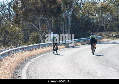 Oriente Jindabyne, Australia - 1 Dicembre 2018: due ciclisti in sella insieme durante un tratto della salita Credito: Blue Pebble/Alamy Live News Foto Stock
