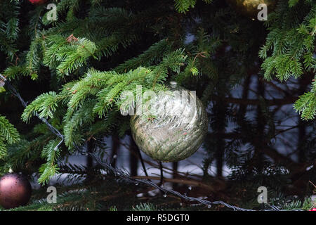 A Downing Street, Londra, Regno Unito. Il 1 dicembre 2018. Un gigante di abete rosso albero di Natale con decorazioni è installato nella parte anteriore del la residenza del Primo Ministro a 10 Downing Street Londra. Il primo ministro Theresa Maggio ha minacciato di 'cancel' Natale per Brexit se perde il senso votare su 11 Dicembre e Brexit Deal Agreement è votato verso il basso. Credito: amer ghazzal/Alamy Live News Foto Stock