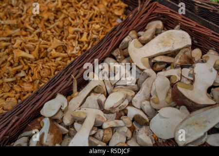 I funghi freschi in vendita in un cesto di vimini Foto Stock