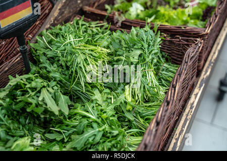 Fresca Insalata di rucola dalla Germania Foto Stock