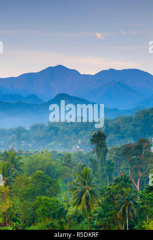 Blue Mountains, parrocchia di Portland, in Giamaica, Caraibi Foto Stock