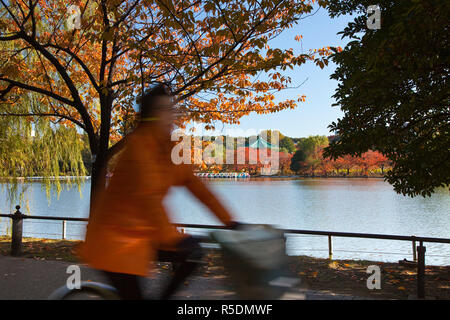 Shinobazu Pond, il parco Ueno, Tokyo, Giappone Foto Stock