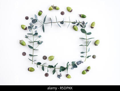 Cornice fatta di rami di eucalipto e ghiande. Eleganti decorazioni su sfondo bianco. Foto Stock